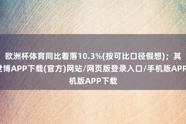 欧洲杯体育同比着落10.3%(按可比口径假想)；其中-世博APP下载(官方)网站/网页版登录入口/手机版APP下载