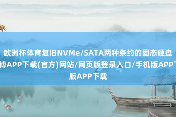 欧洲杯体育复旧NVMe/SATA两种条约的固态硬盘-世博APP下载(官方)网站/网页版登录入口/手机版APP下载